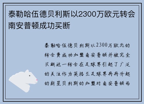 泰勒哈伍德贝利斯以2300万欧元转会南安普顿成功买断